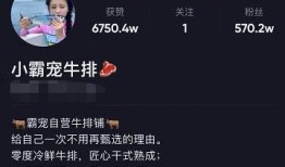 小霸宠哥哥爆料视频,揭秘娱乐圈幕后真相