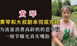 大叔黄琴最新爆料,大叔黄琴最新爆料，带你走进娱乐圈不为人知的真相