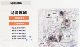 大城最新爆料,最新爆料背后的惊人真相